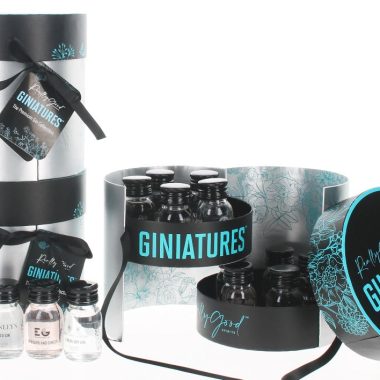 Gin Tasting Gift Pack 10 Giniatures in Beautiful Gift Box. 10x3cl